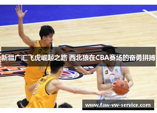 新疆广汇飞虎崛起之路 西北狼在CBA赛场的奋勇拼搏