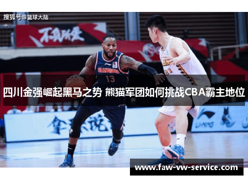 四川金强崛起黑马之势 熊猫军团如何挑战CBA霸主地位